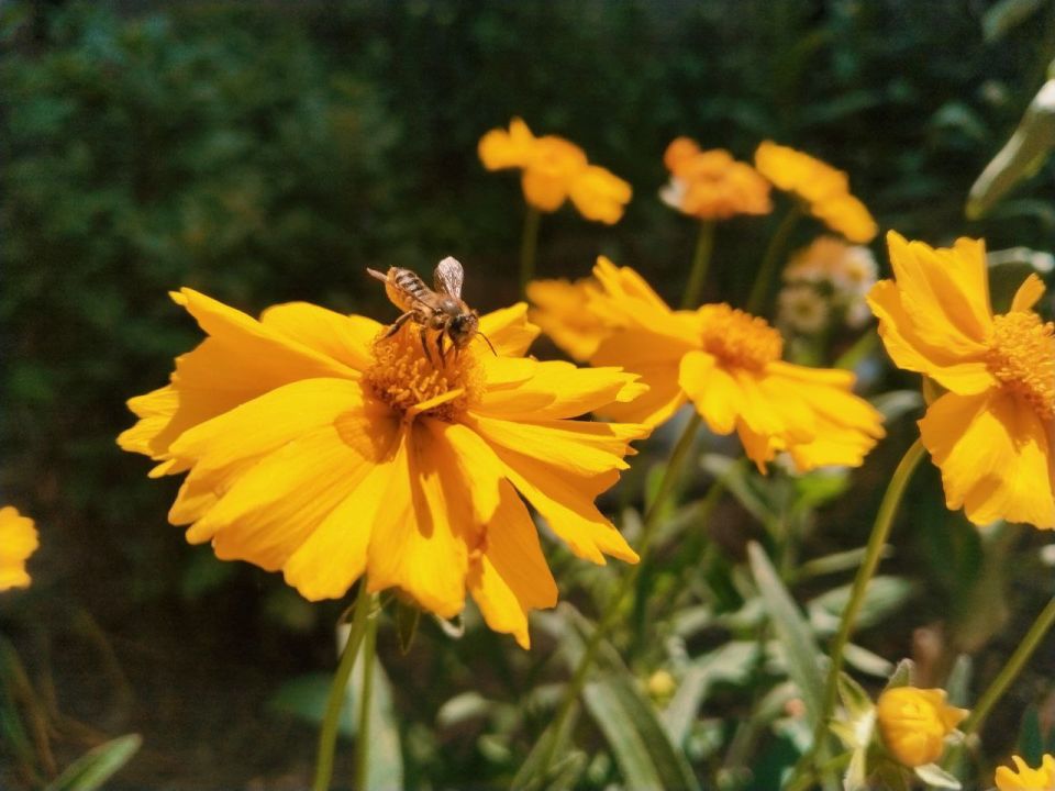 � ������ �����, �������!. ������ ���� ����������� ���! ������� � ����� ������ ��������, t +29, ����� ��������