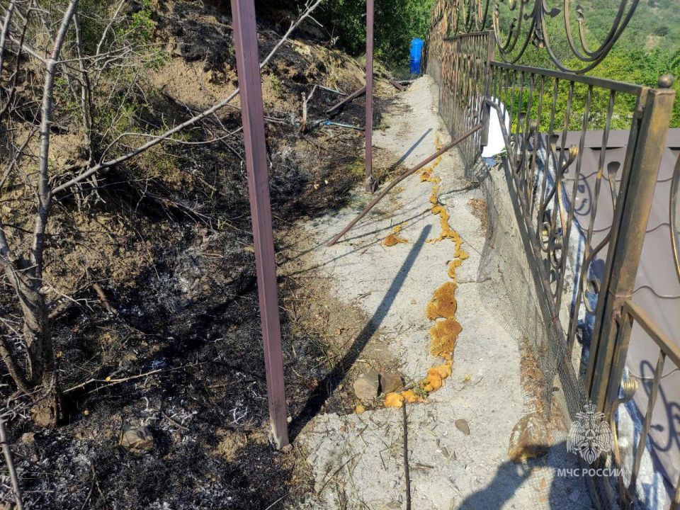 В Крыму дознаватели МЧС России нашли виновника пожара В Крыму дознаватели МЧС России нашли виновника пожара