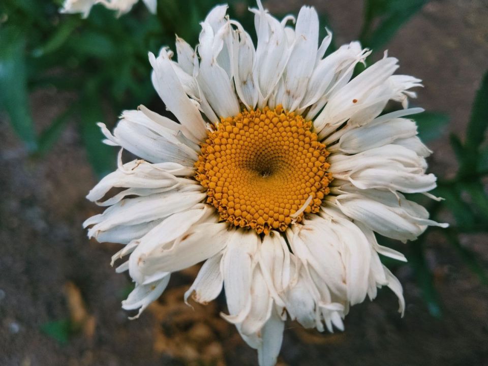 � ������ �����, �������!. ������ ���� �������������� ���! ������� � ����� ������ ��������, t +28, ����� ��������