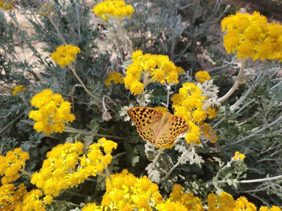 � ������ �����, �������!. � ���� ����������� ���� ����� �������� ������� � ������������! ������� ������� ��������� �����, t +26, ����� ��������