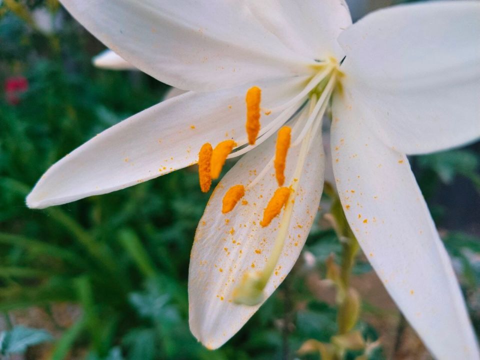 � ������ �����, �������!. ������ ���� �������� ���! ������� � ����� ������ ��������, t +24, ����� ��������