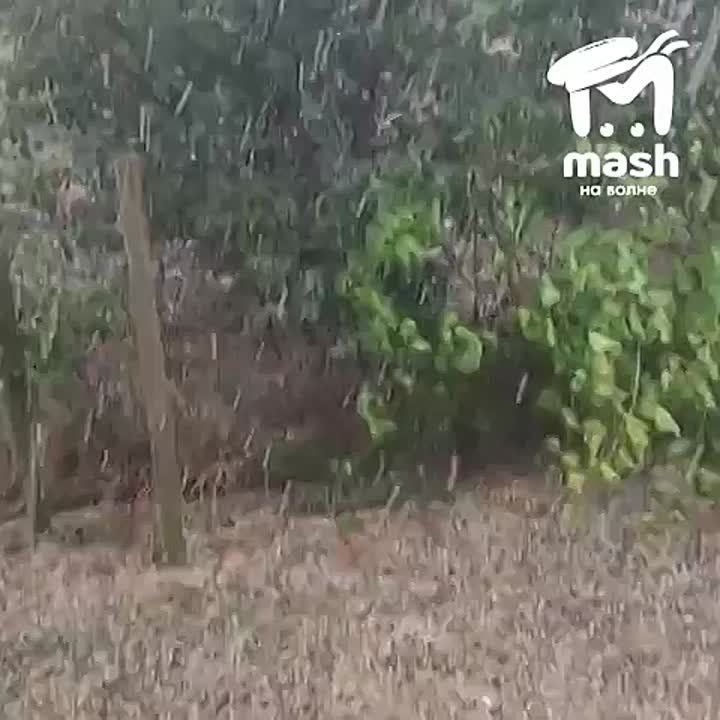    &quot;-&quot;      