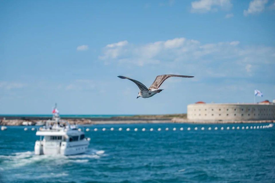 Екатерина Алтабаева: Дорогие севастопольцы! Сегодня нашему любимому городу исполняется 242 года Екатерина Алтабаева: Дорогие севастопольцы! Сегодня нашему любимому городу исполняется 242 года