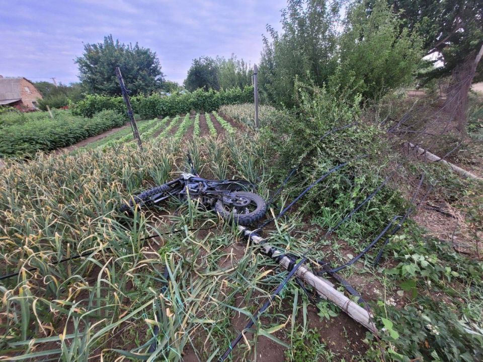 � ����������� ������ 17-������ ����������� �������� �������� � �������� � ����������