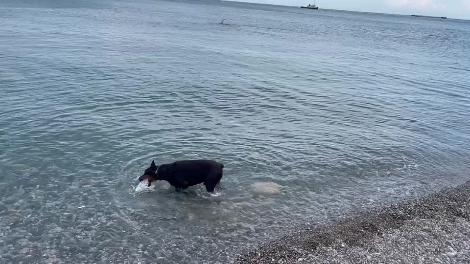  :     