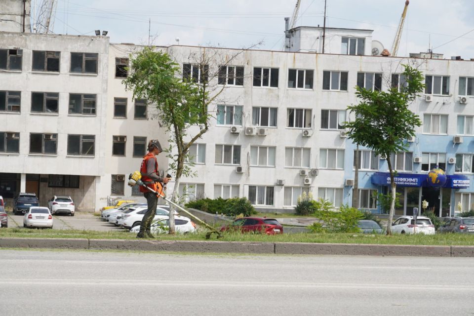 В Керчи ежедневно ведутся работы по покосу травы на придомовых территориях и вдоль городских дорог В Керчи ежедневно ведутся работы по покосу травы на придомовых территориях и вдоль городских дорог