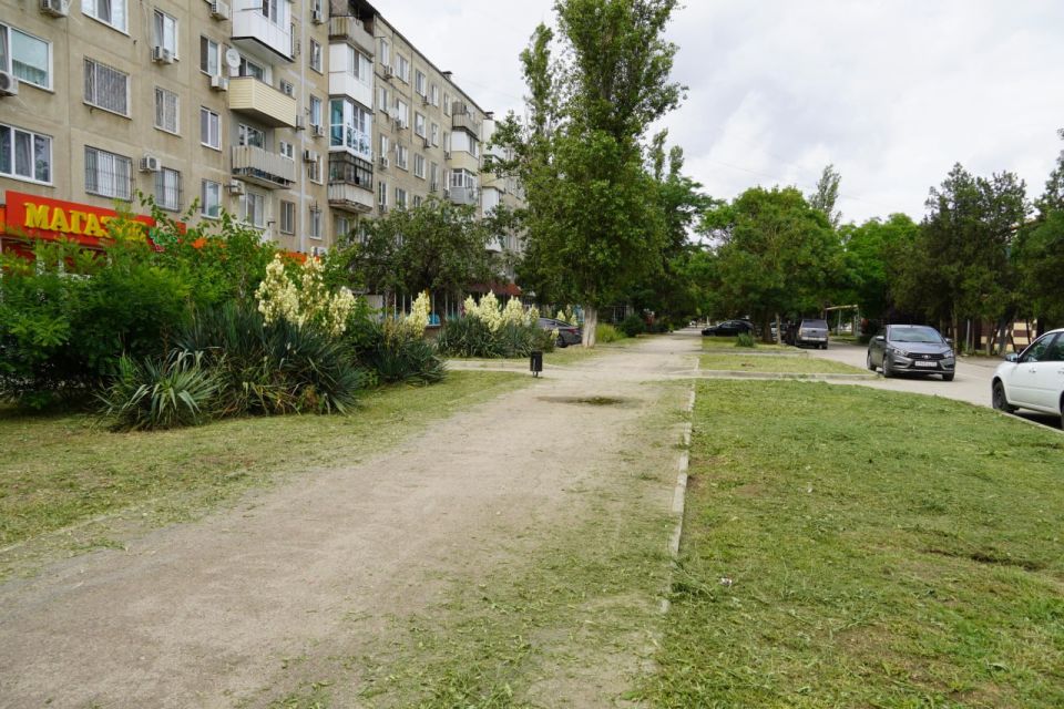 В Керчи ежедневно ведутся работы по покосу травы на придомовых территориях и вдоль городских дорог В Керчи ежедневно ведутся работы по покосу травы на придомовых территориях и вдоль городских дорог