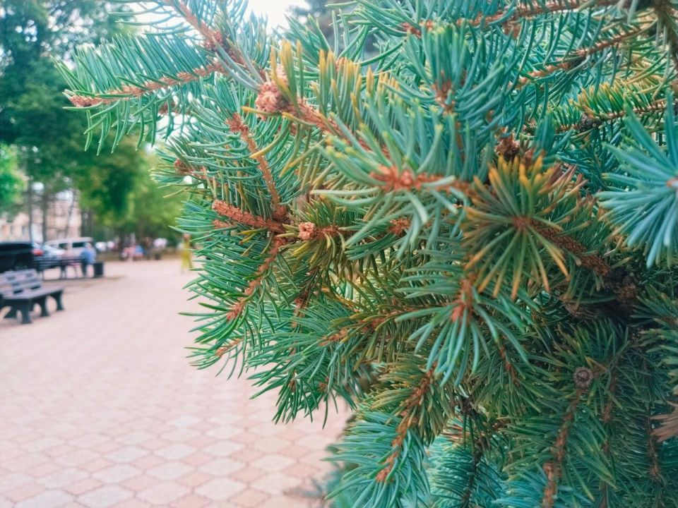 � ������ �����, �������!. ������ ���� ����������� ���! ������� � ����� ������ �����������, t +27, ����� ��������