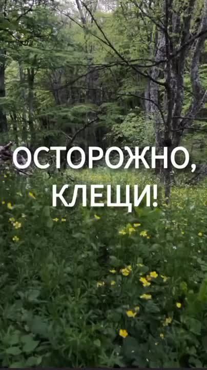 , !.         
