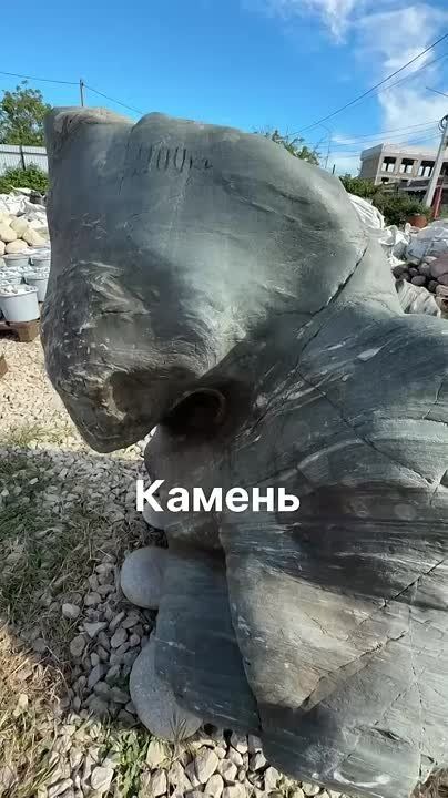  : :      