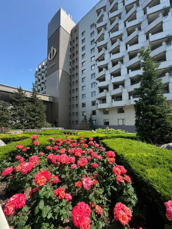 В Форосском парке розы – настоящее украшение В Форосском парке розы – настоящее украшение