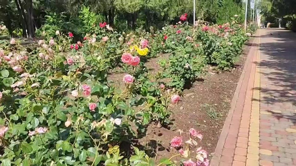 В Керчи продолжаются работы по ремонту скамеек на общественных территориях