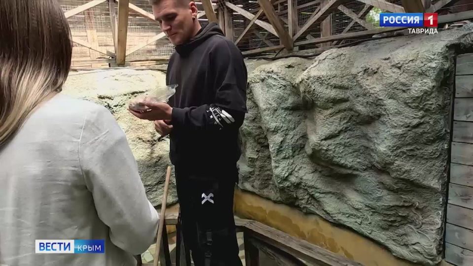 -  :  18.06.2025