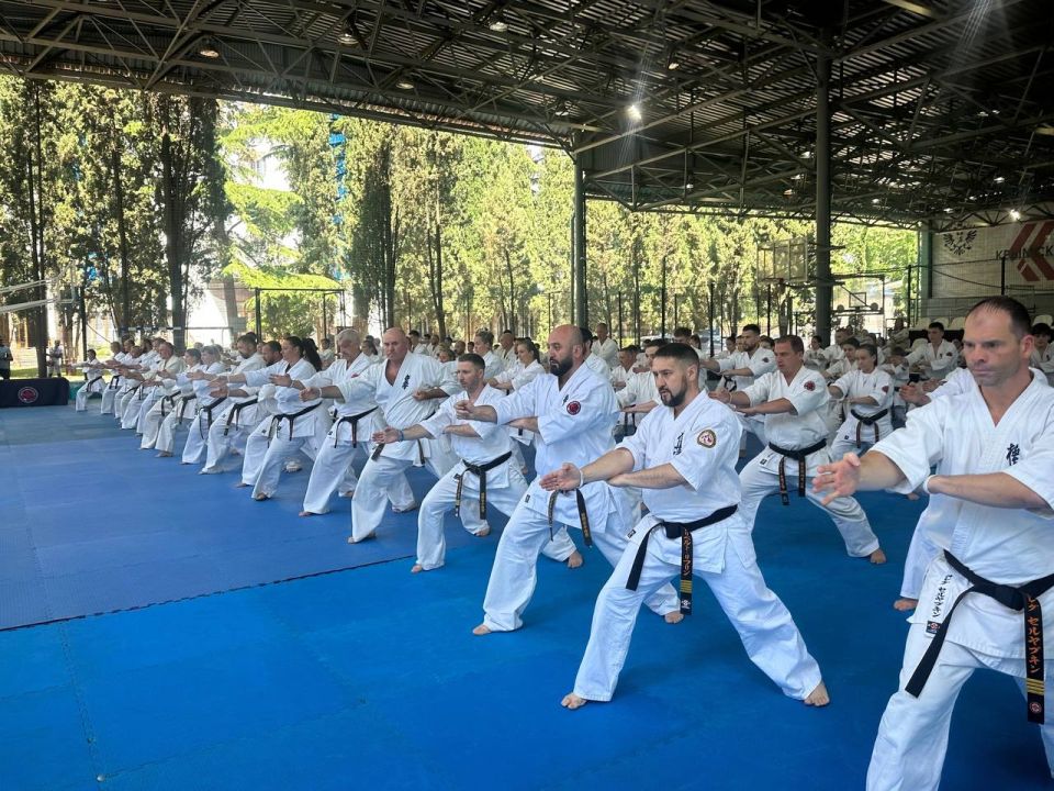 Ольга Торубарова: Удивительное близко…. С 16 по 22 июня в г. Алушта на базе Тренировочного Центр Подготовки Сборных Команд России &quot;Крымский&quot; проходит Всероссийская Летняя Школа Федерации Киокушин России под Руководством...