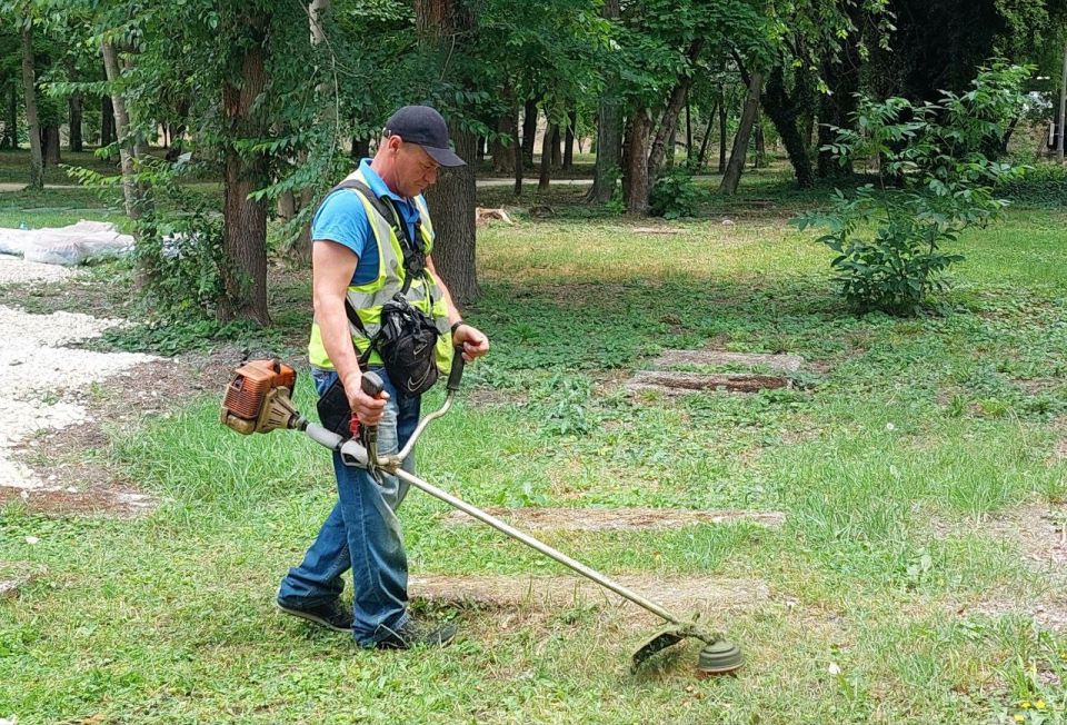 В парках и скверах Симферополя в ежедневном режиме ведётся покос травы: в работах задействовано до 15 человек