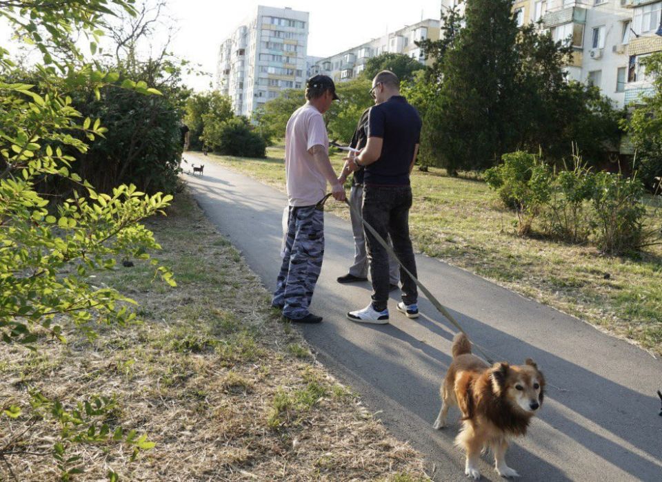 Сотрудники управления муниципального контроля проводят разъяснительные беседы с жителями города о необходимости соблюдения правил при выгуле собак