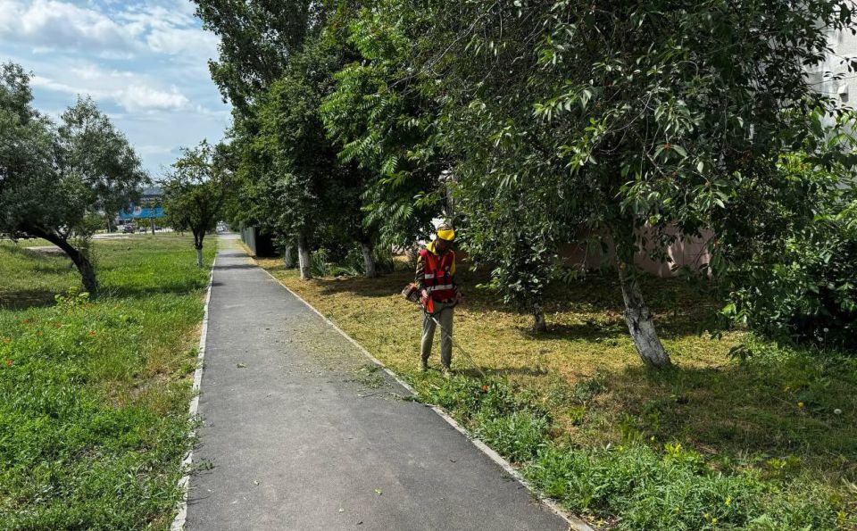 В Керчи продолжается покос травы