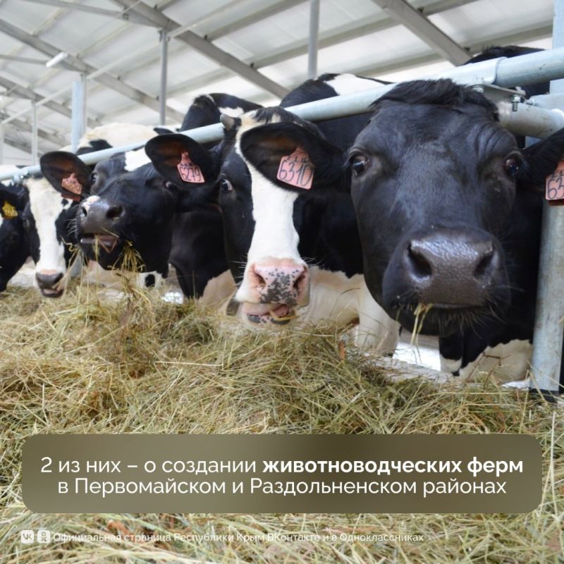 Стартовал Петербургский международный экономический форум — одно из самых значимых событий в деловом мире Стартовал Петербургский международный экономический форум — одно из самых значимых событий в деловом мире
