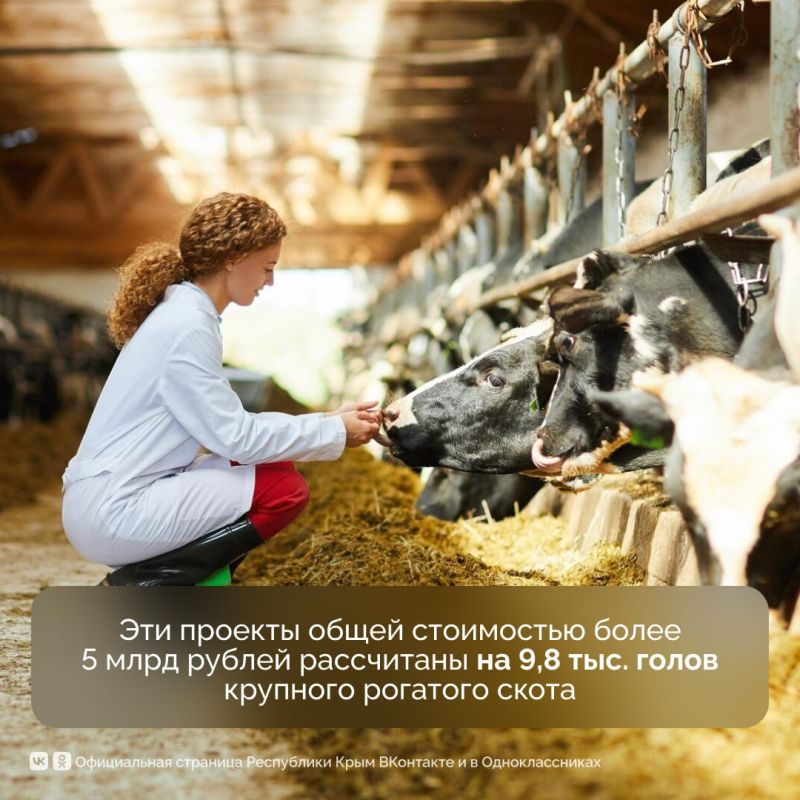 Стартовал Петербургский международный экономический форум — одно из самых значимых событий в деловом мире Стартовал Петербургский международный экономический форум — одно из самых значимых событий в деловом мире