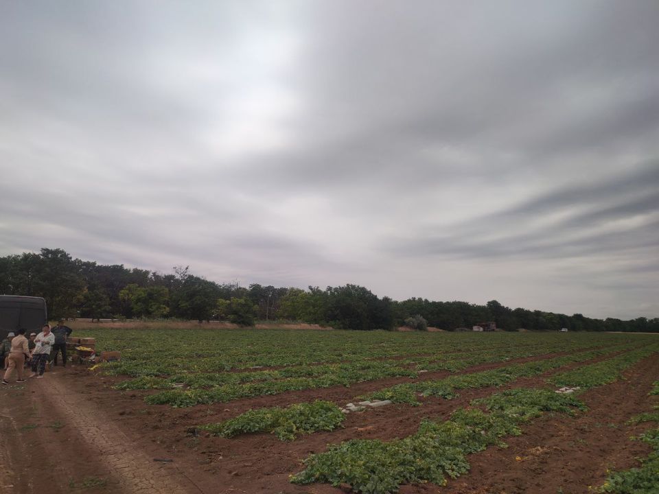 ����� �������: ��������� � ��������������� ����������� ���� � 2 �� ���������� ����, ������ ��� ������ �� ��������������� ������, �� ��� �� ������ ��������� ���������� � �������������� ������, ������������ �������������...