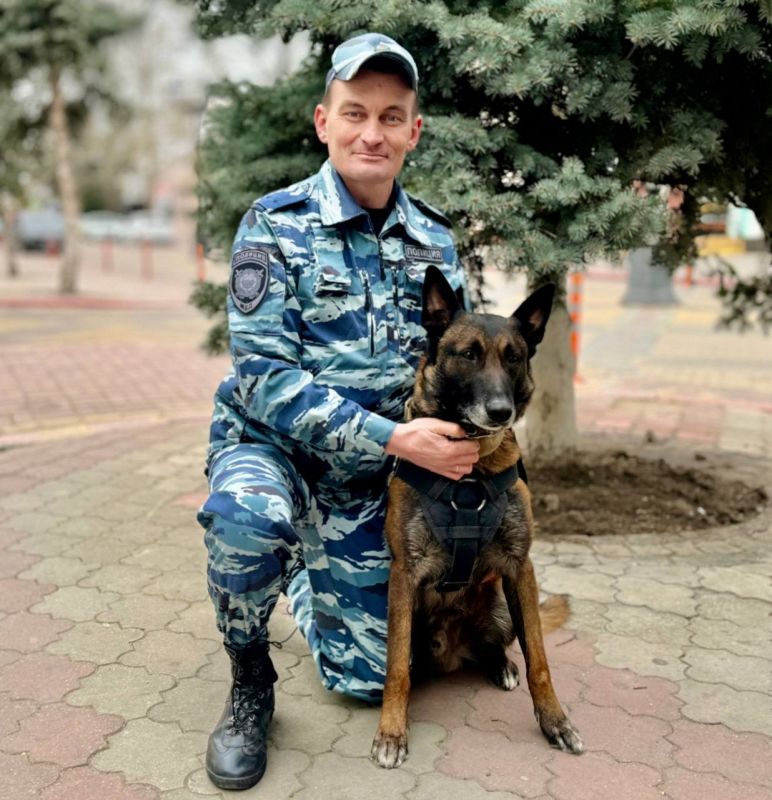 21 июня в России отмечается День кинолога 21 июня в России отмечается День кинолога