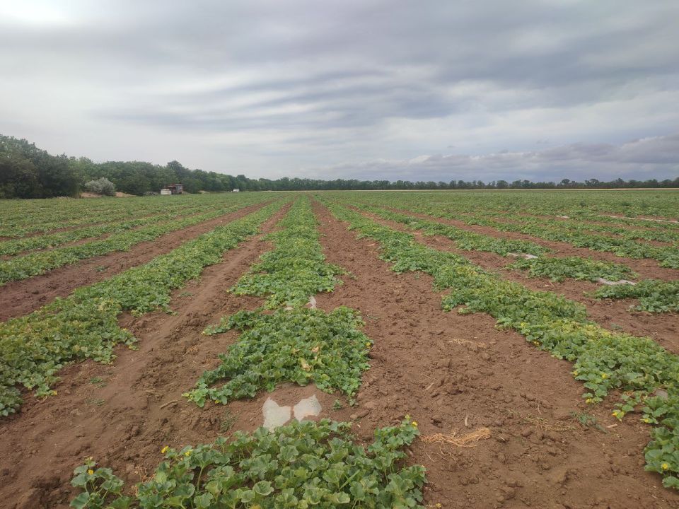 ����� �������: ��������� � ��������������� ����������� ���� � 2 �� ���������� ����, ������ ��� ������ �� ��������������� ������, �� ��� �� ������ ��������� ���������� � �������������� ������, ������������ �������������...