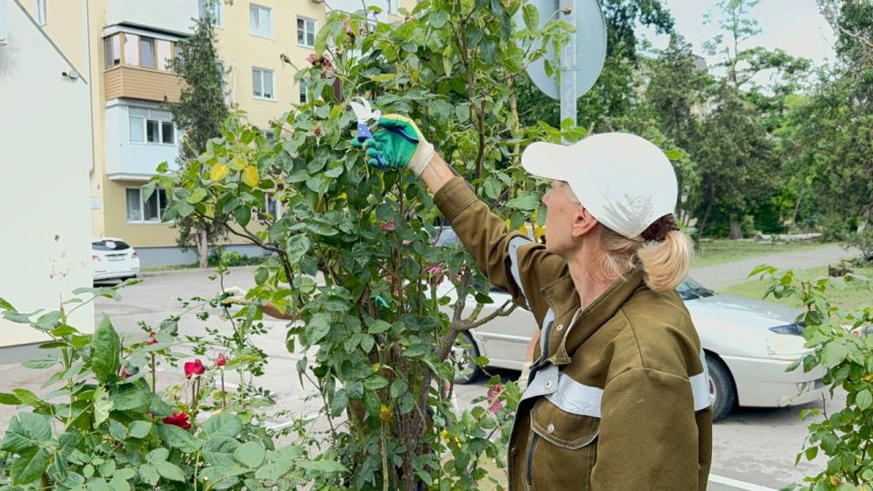 Сегодня сотрудники керченского зеленхоза провели комплексные работы по уходу за зелеными насаждениями в районе улиц Борзенко и Ю. Ленинцев Сегодня сотрудники керченского зеленхоза провели комплексные работы по уходу за зелеными насаждениями в районе улиц Борзенко и Ю. Ленинцев