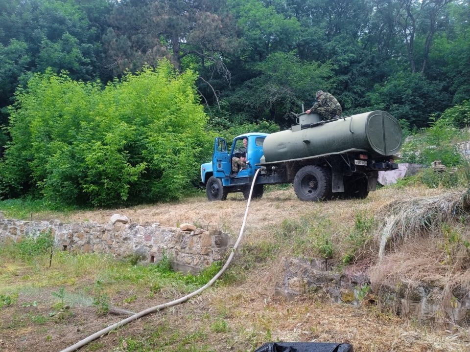 Сотрудники лесхозов проводят работы по уходу в лесных питомниках Сотрудники лесхозов проводят работы по уходу в лесных питомниках
