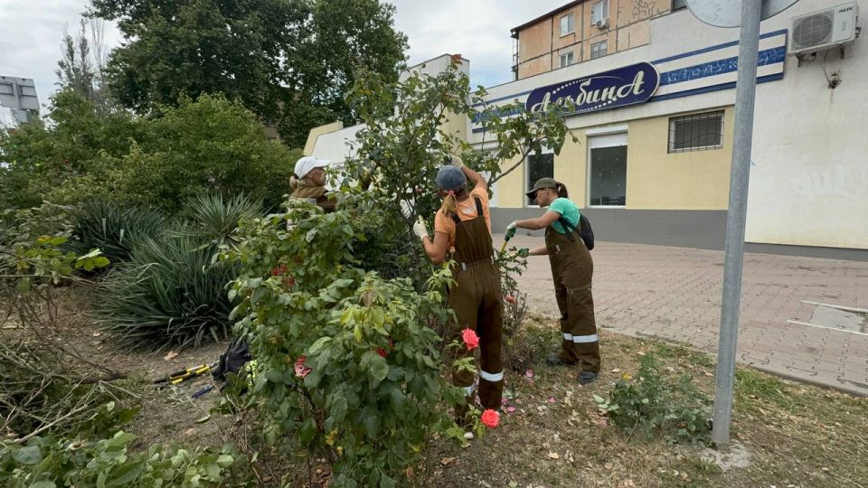 Сегодня сотрудники керченского зеленхоза провели комплексные работы по уходу за зелеными насаждениями в районе улиц Борзенко и Ю. Ленинцев Сегодня сотрудники керченского зеленхоза провели комплексные работы по уходу за зелеными насаждениями в районе улиц Борзенко и Ю. Ленинцев