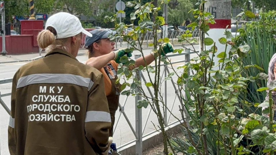 Сегодня сотрудники керченского зеленхоза провели комплексные работы по уходу за зелеными насаждениями в районе улиц Борзенко и Ю. Ленинцев Сегодня сотрудники керченского зеленхоза провели комплексные работы по уходу за зелеными насаждениями в районе улиц Борзенко и Ю. Ленинцев