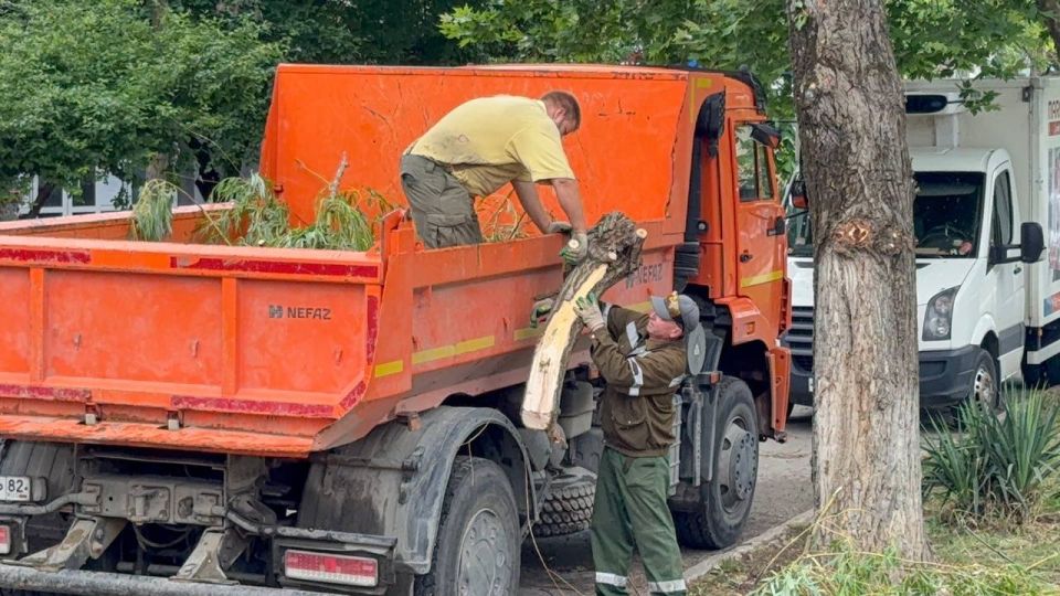 Сегодня сотрудники керченского зеленхоза провели комплексные работы по уходу за зелеными насаждениями в районе улиц Борзенко и Ю. Ленинцев Сегодня сотрудники керченского зеленхоза провели комплексные работы по уходу за зелеными насаждениями в районе улиц Борзенко и Ю. Ленинцев
