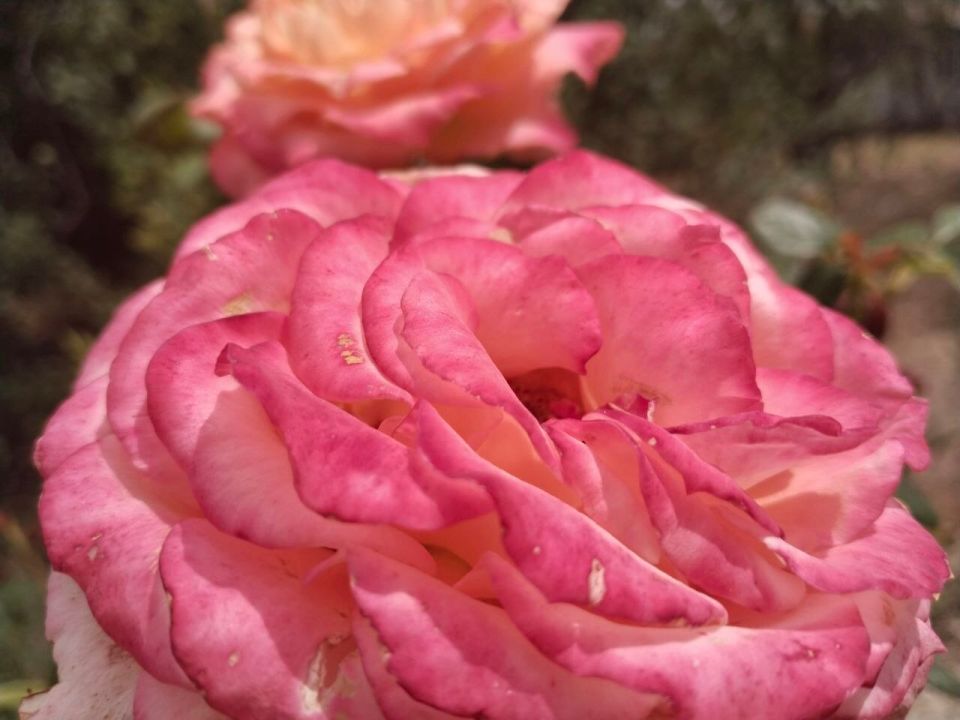 � ������ �����, �������!. ������� ����� �������� ��� ����� ������ �������� ��������! � �������� �������� �����, t +23, ����� ��������