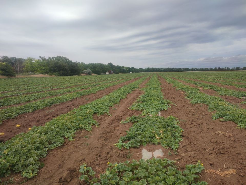 ����� �������: ��������� � ��������������� ����������� ���� � 2 �� ���������� ����, ������ ��� ������ �� ��������������� ������, �� ��� �� ������ ��������� ���������� � �������������� ������, ������������ �������������...