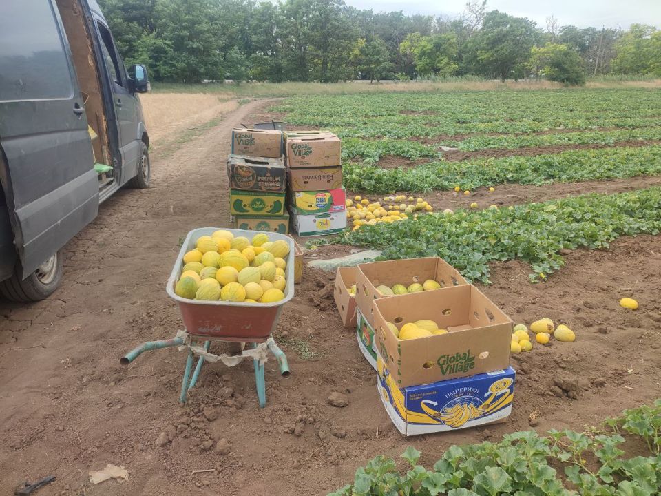 ����� �������: ��������� � ��������������� ����������� ���� � 2 �� ���������� ����, ������ ��� ������ �� ��������������� ������, �� ��� �� ������ ��������� ���������� � �������������� ������, ������������ �������������...