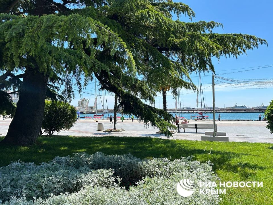 ������� ������ � ����� �� �������