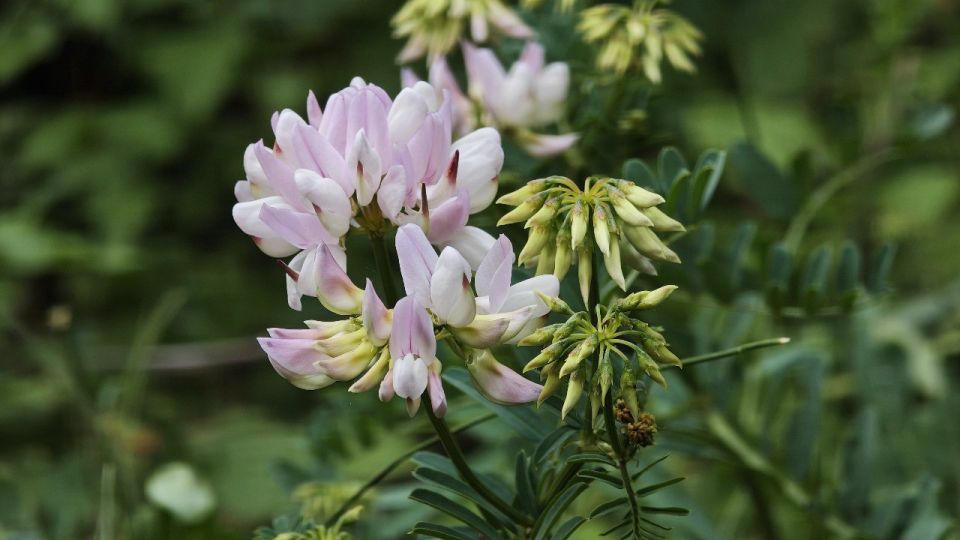 ������� ������ � ����� �� 21 ����