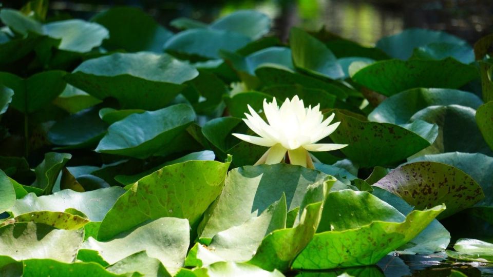 ������� ������ � ����� �� 22 ����