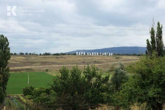 Сотрудница "Тайгана" с ведром и совком отогнала напавшего на Зубкова льва
