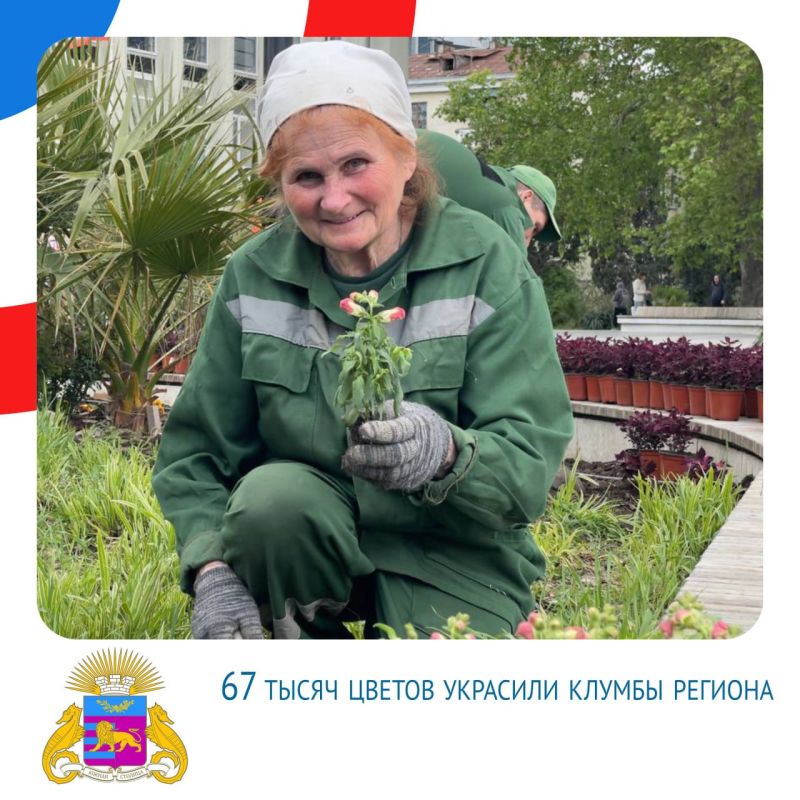 ����� ��������: ���������� ������� (15-22 ����)