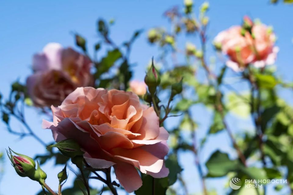 ������� ������ � ����� �� �����������