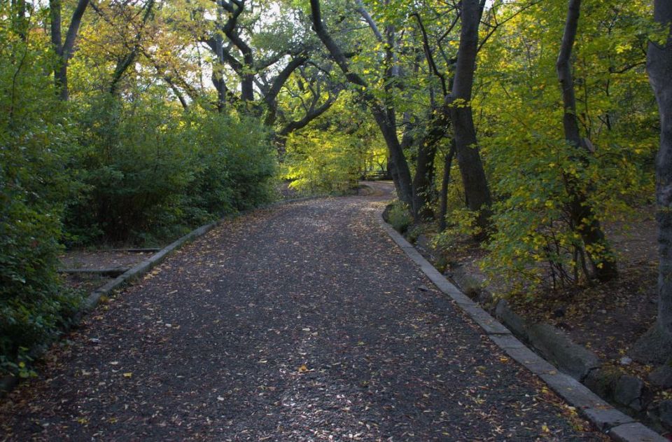 ����� ��������: ����� 25 ����� ������� ������ ������� �� ��������������� ����� ������ ������ � ������ �� ���������� ����������� V �������������� ������-����������� �� ������ ���������� ��� ��������������� (���������...