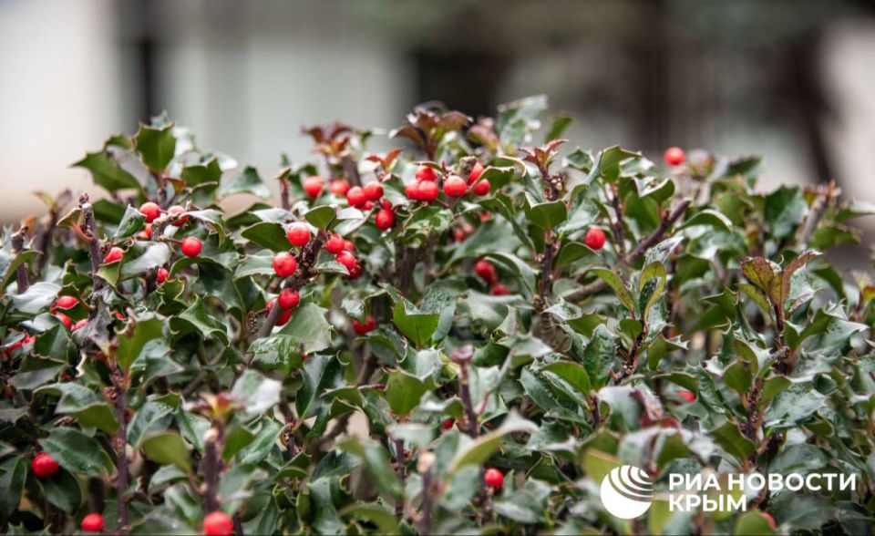 ������� ������ � ����� �� �����������