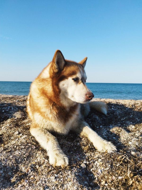 ������� ������ � ����� �� 23 ����