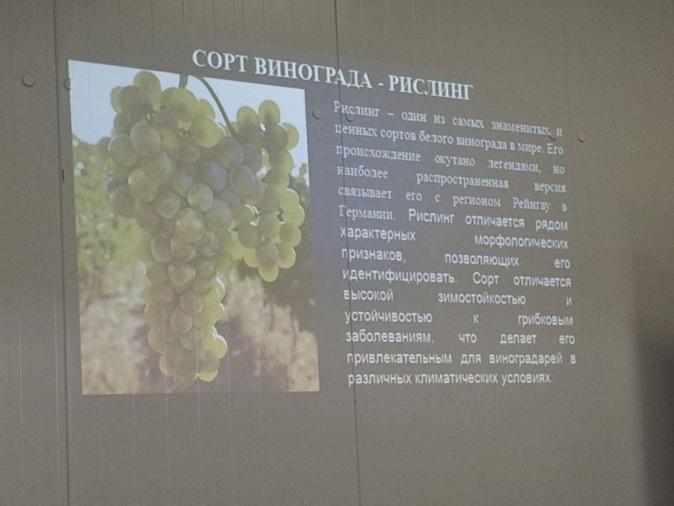 Заместитель министра сельского хозяйства Крыма принял участие в защите выпускных квалификационных работ Заместитель министра сельского хозяйства Крыма принял участие в защите выпускных квалификационных работ