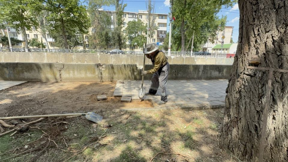 По ул. Борзенко вдоль речки Мелек-Чесме сотрудники Службы городского хозяйства восстанавливают участки тротуара в местах, где он был поврежден ранее По ул. Борзенко вдоль речки Мелек-Чесме сотрудники Службы городского хозяйства восстанавливают участки тротуара в местах, где он был поврежден ранее