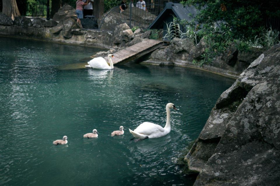 � ������������ ����� � ������ ����������: � ���� ������� �������� ������