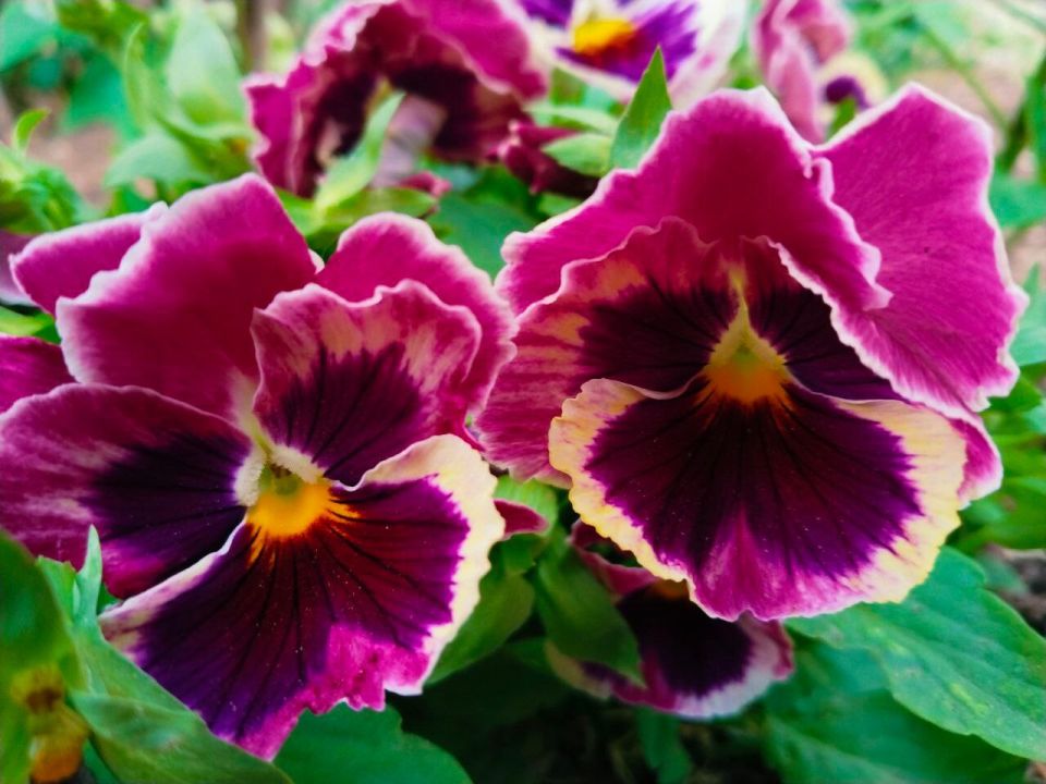 � ������ �����, �������!. ������ ���� ����������� ���! ������� � �������� ��������, t +28, ����� ���-��������