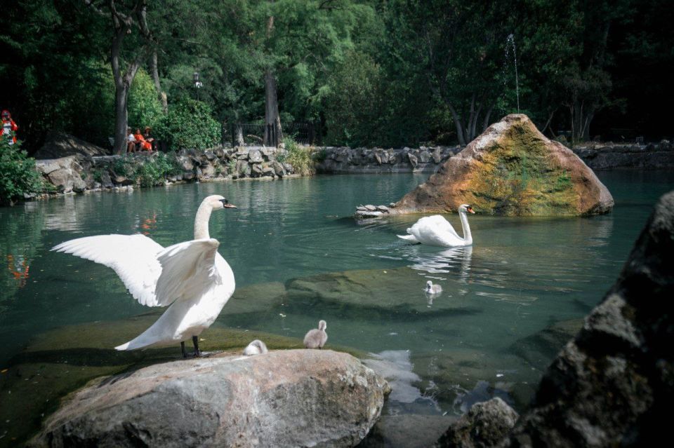 � ������������ ����� � ������ ����������: � ���� ������� �������� ������