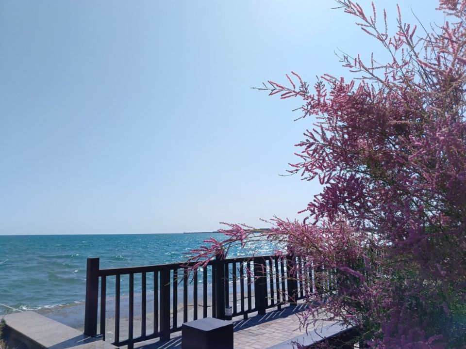 Прогноз погоды в Крыму на 24 июня