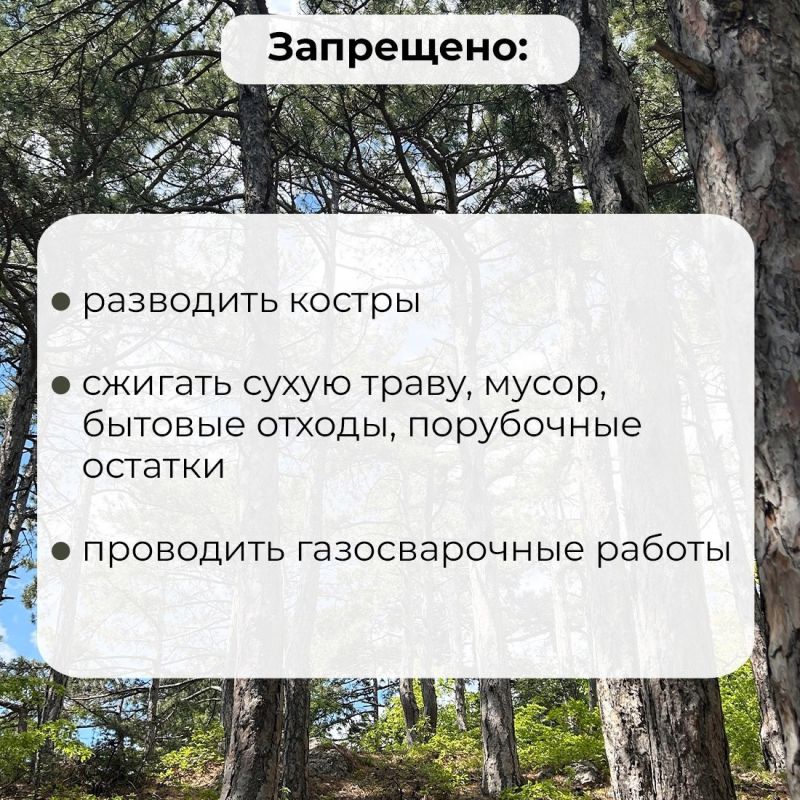 В крымских лесах продлили запрет на посещение и проезд транспорта В крымских лесах продлили запрет на посещение и проезд транспорта